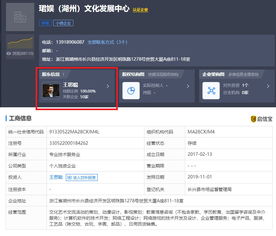 王思聪再被限制消费，计算机软件技术开发背后的法律警示