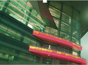 Wing King Tong 在多元业务中探寻软件与咨询的融合之道