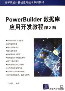 经济信息咨询中的PowerBuilder数据库应用开发 从理论到实践